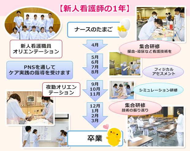 新人看護師の1年