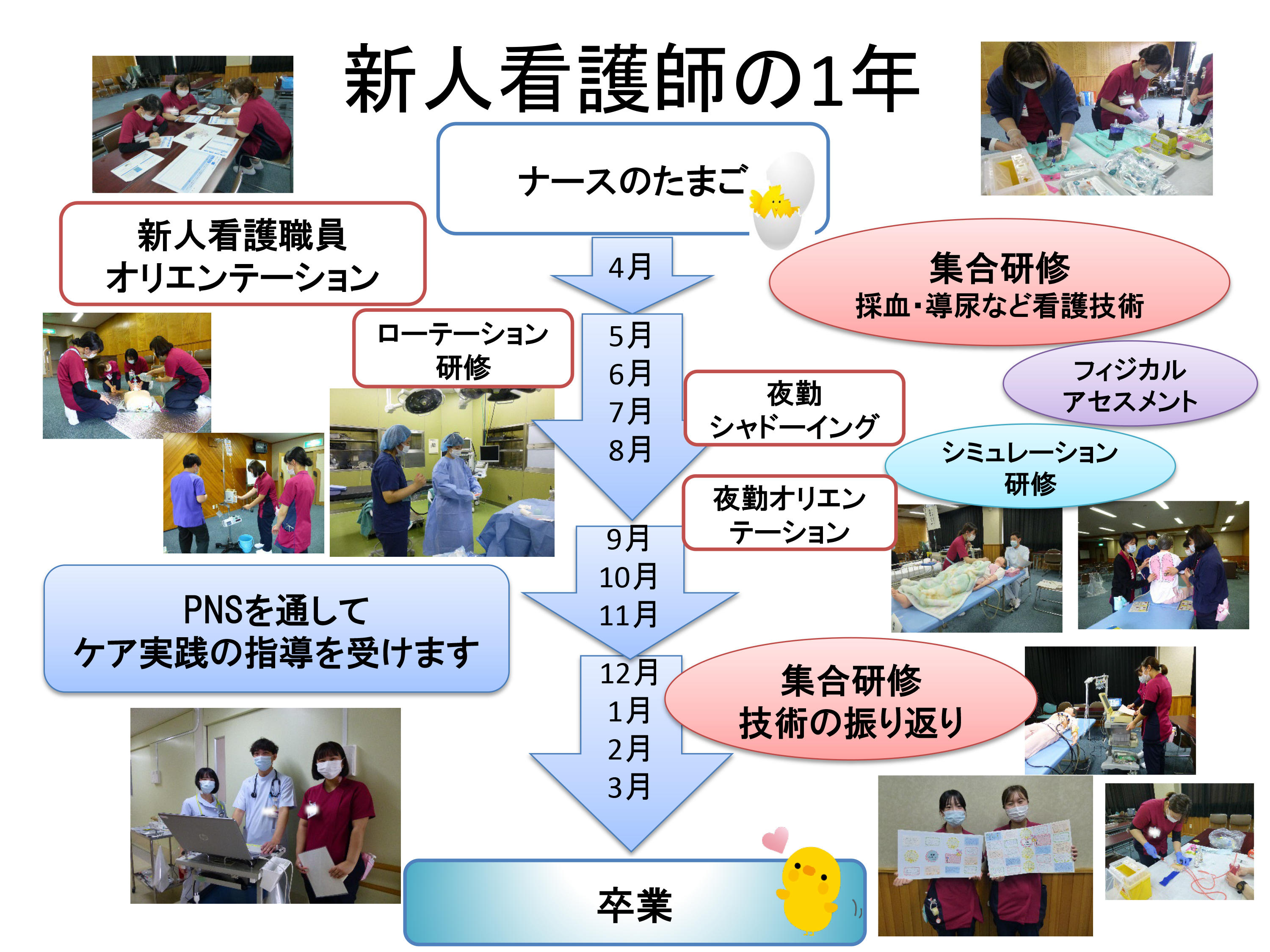 新人看護師の1年