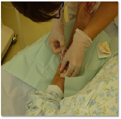 �ͣť��󥿡��Υ����꡼